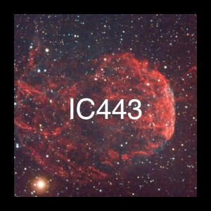 ic443
