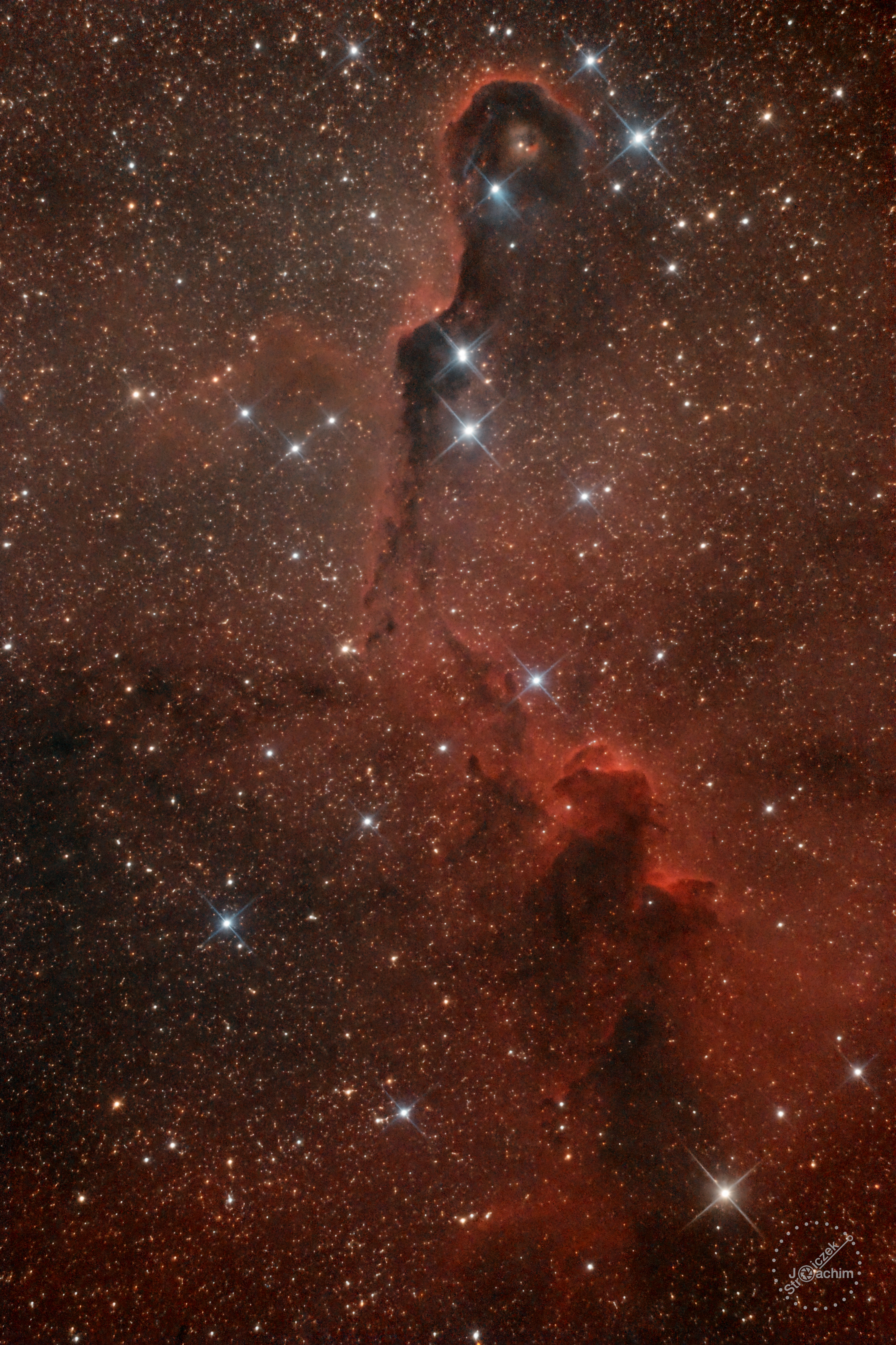IC 1396 Elefantenrüssel-Nebel | 14+20.8.2021 |ASI183 | Celestron C8N |  36x300s (RGB) + 22x300s (Ha/OIII) (4,8 Std.)