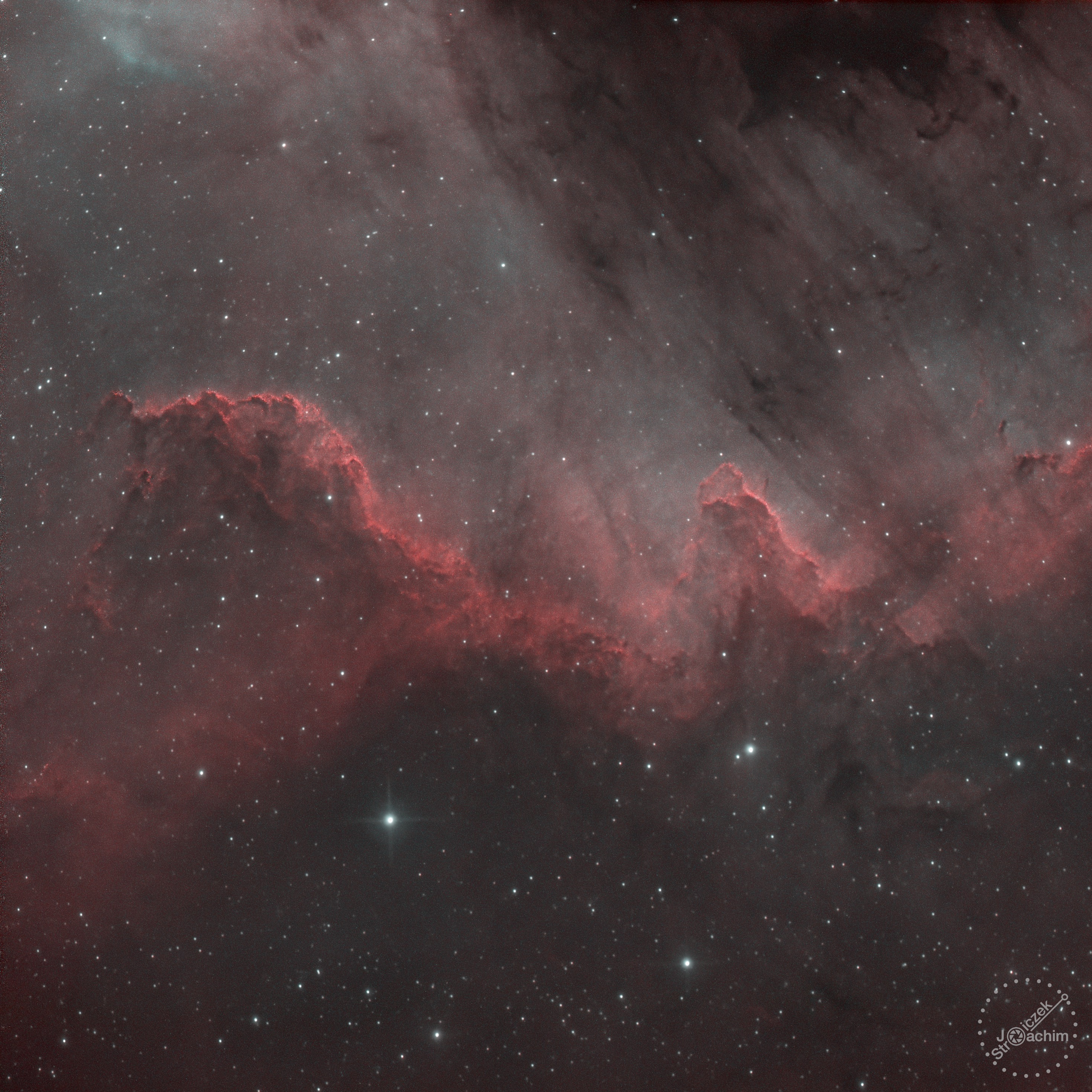 NGC 7000 the great wall | 2.6.2023 | ASI533 | Celestron C8N |  32x300s (2,5 Std.)