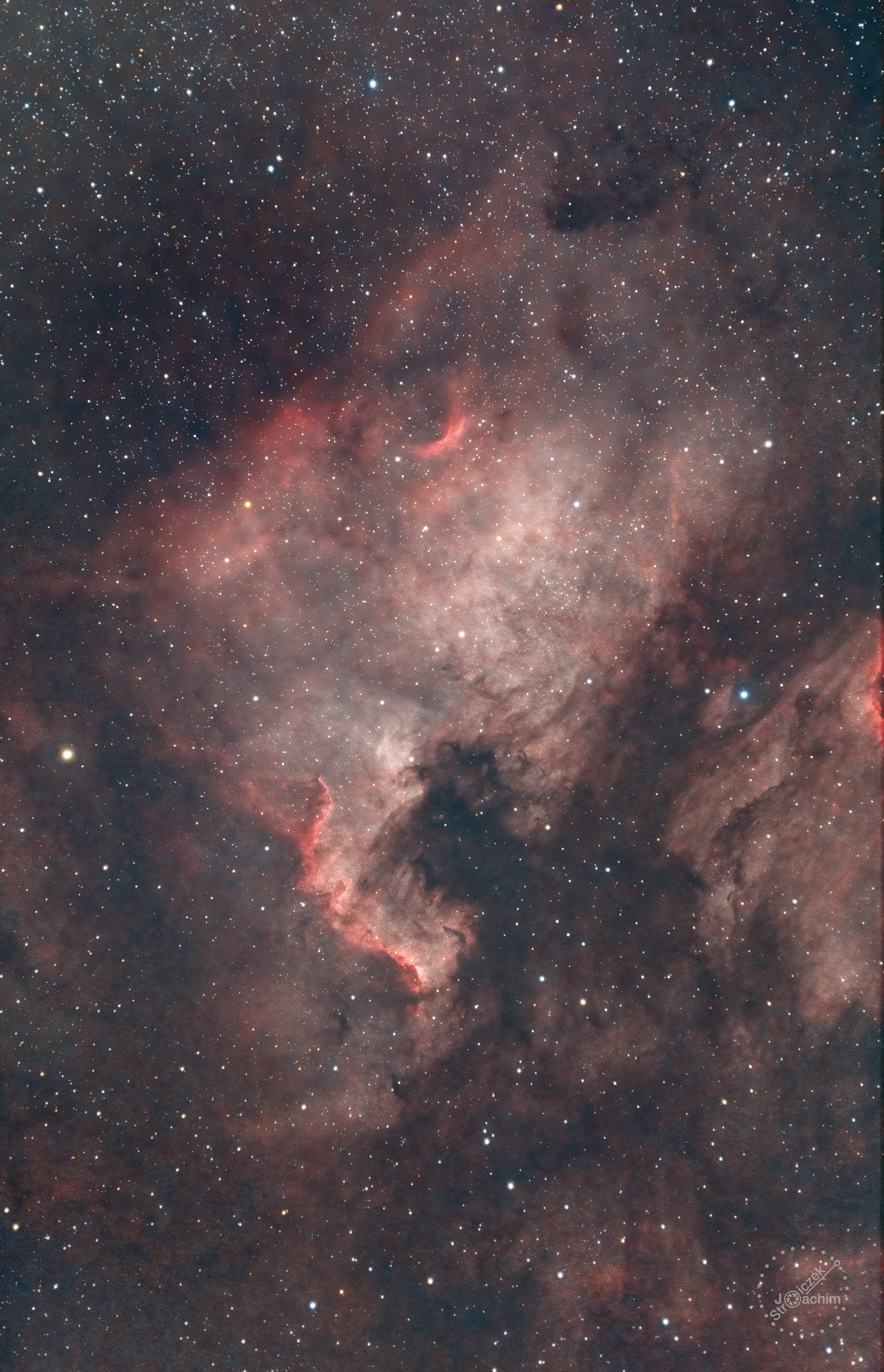 NGC 7000 Nordamerika-Nebel | 11.8.2022 | Canon 200d | Evoguide | 55x180s (RGB) + 38x300s Dual-Narrow-Band (6 Std.)