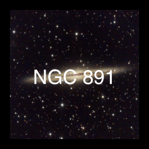 ngc891