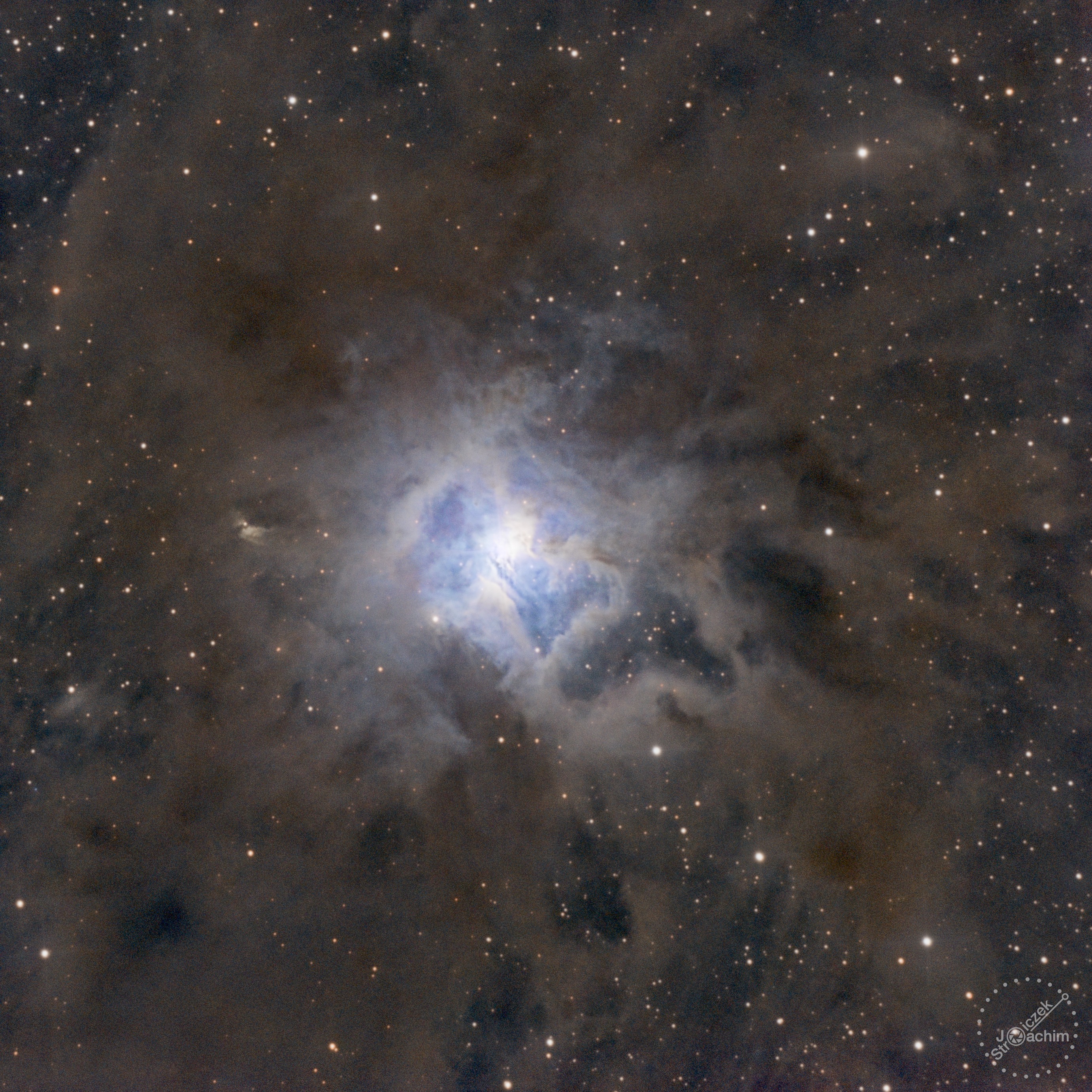 NGC 7023 Iris-Nebel | 9.+15.9.2023 | ASI533 | Celestron C8N |  232x180s RGB  (11,6 Std.)