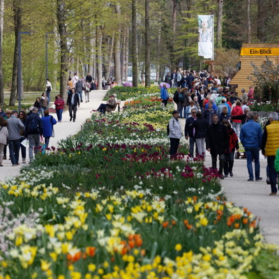 Landesgartenschau